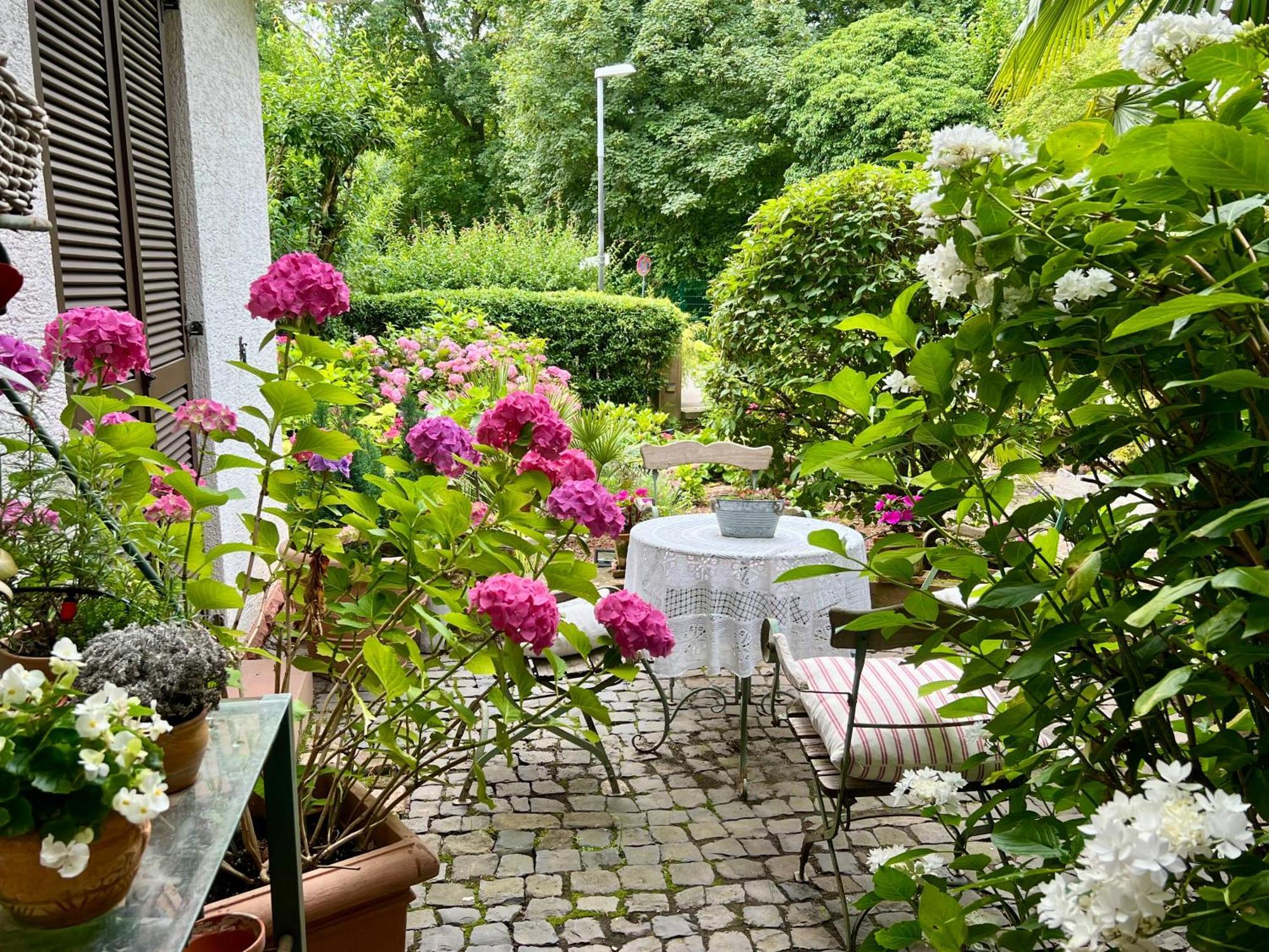 Einliegerwohnung In Einer Muehle Vor Den Toren Frankfurts, Ideal Fuer Messegaeste Oder Stop Over Драйайх Екстериор снимка