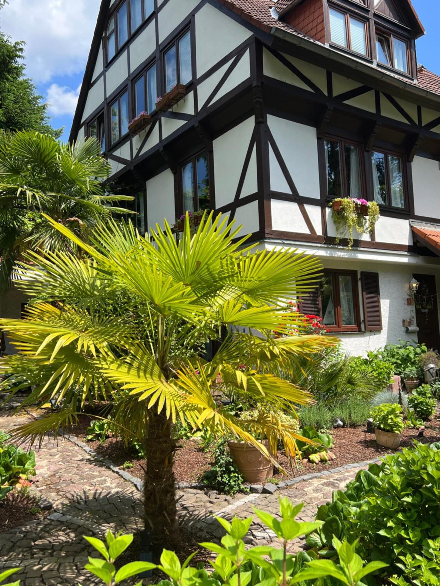 Einliegerwohnung In Einer Muehle Vor Den Toren Frankfurts, Ideal Fuer Messegaeste Oder Stop Over Драйайх Екстериор снимка